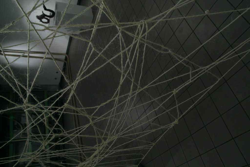 Toile d'araignée Toile d'araignée, Installation interactive, dimensions variables, cordes, cordages.