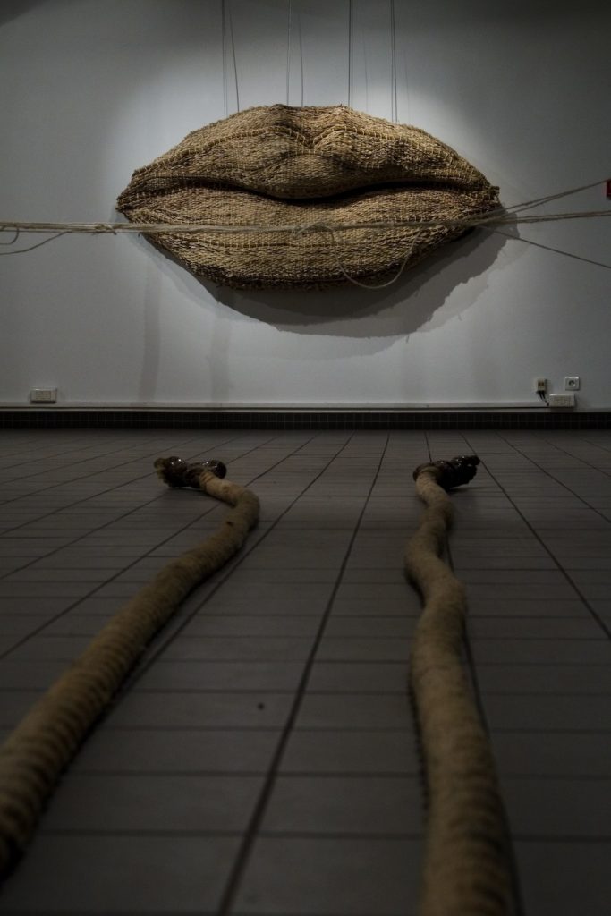 Installation View, Grandes Lèvres, Toile d'araignée, Pied piégé