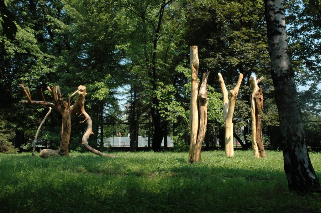 Nature’s Body, 2006, dimensions variable (height 3.5 meters), Apple Wood, Botanic Gardens, Krakow, Poland