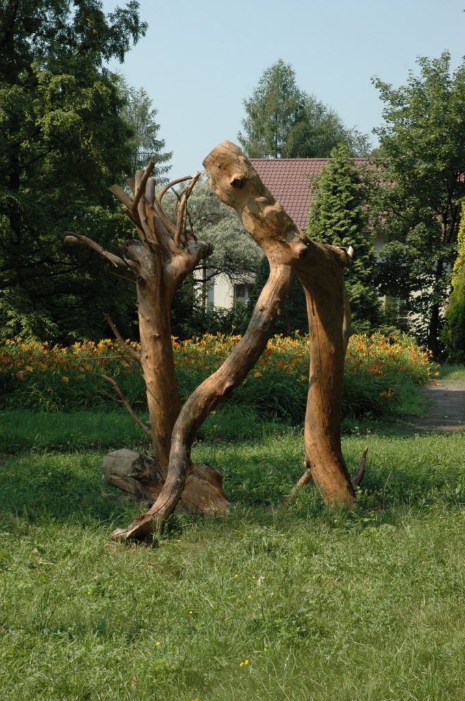 Nature’s Body, 2006, dimensions variable (height 3.5 meters), Apple Wood, Botanic Gardens, Krakow, Poland (detail)